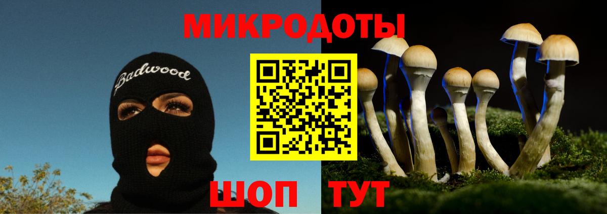 Кинель  Галлюциногенные грибы мицелий  Вход с VPN 